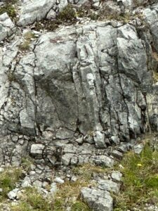 Stone people, Scotland